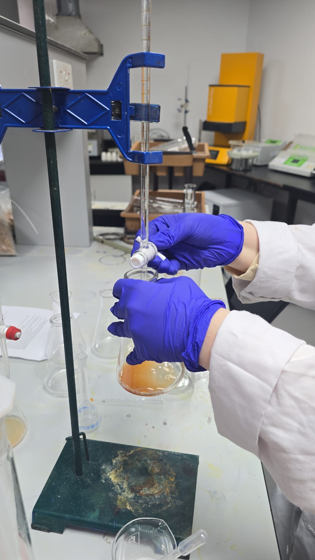 Scientist working in laboratory
